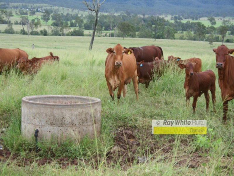 Cinnabar QLD 4600