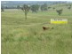 Cinnabar QLD 4600