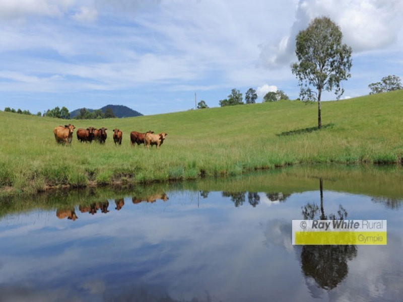 Conondale QLD 4552