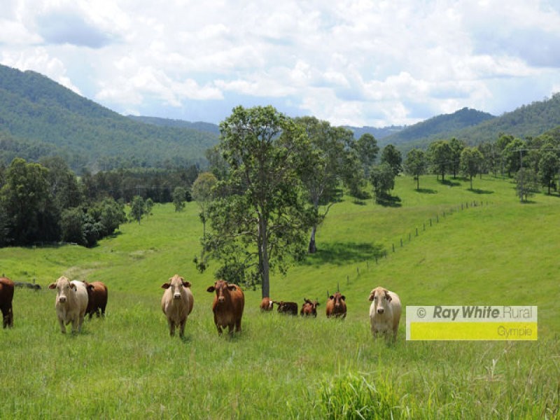 Conondale QLD 4552