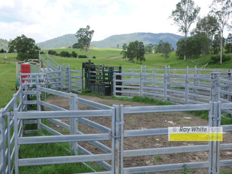 Conondale QLD 4552