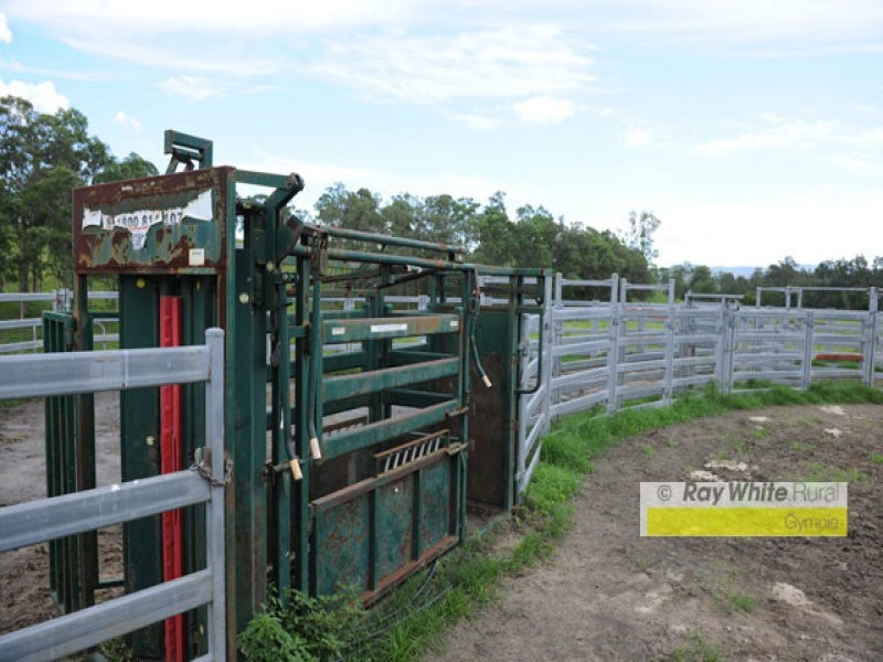 Conondale QLD 4552