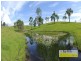 Conondale QLD 4552