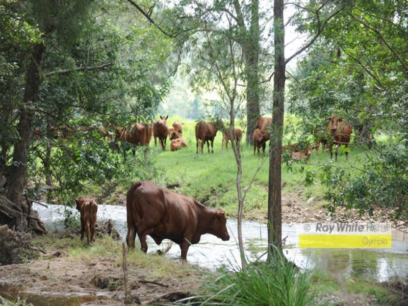 Conondale QLD 4552