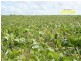 Goomeri QLD 4601