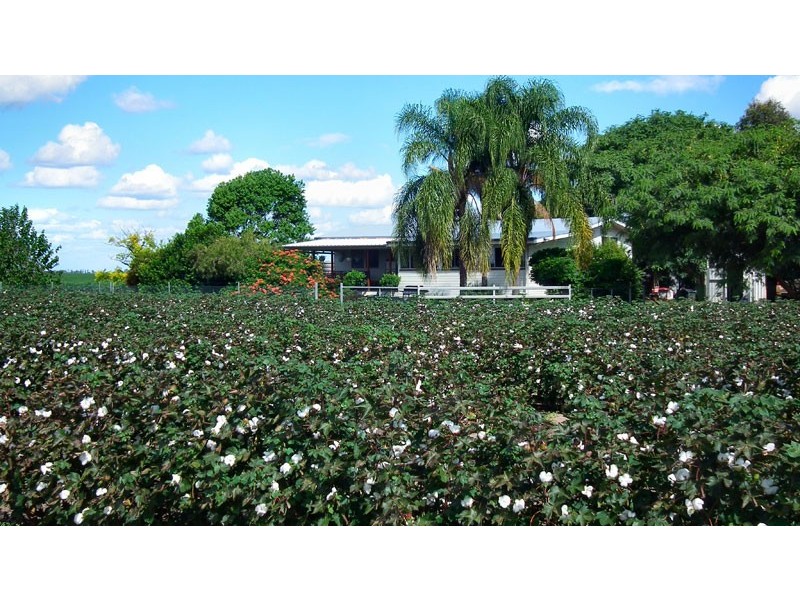Chinchilla QLD 4413