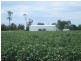 Chinchilla QLD 4413