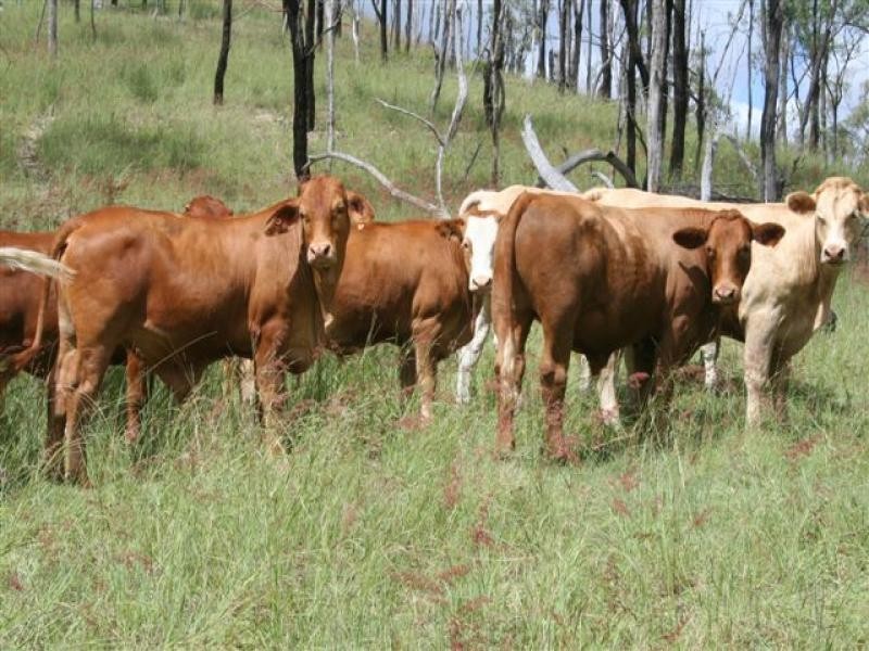 Booubyjan QLD 4601