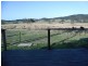 Wolvi QLD 4570