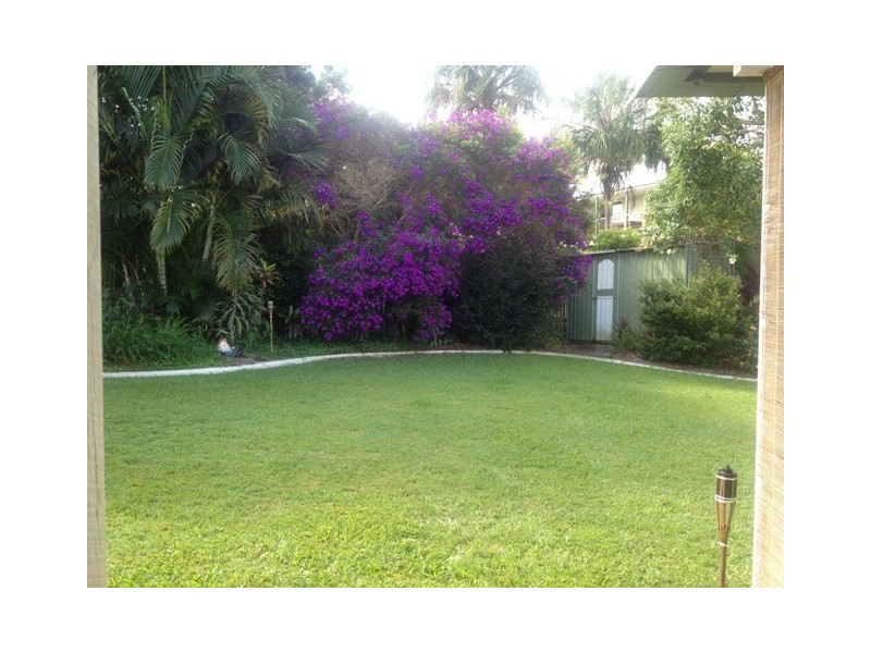 16 Camphor Laurel, Gympie QLD 4570