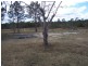 Tamaree QLD 4570