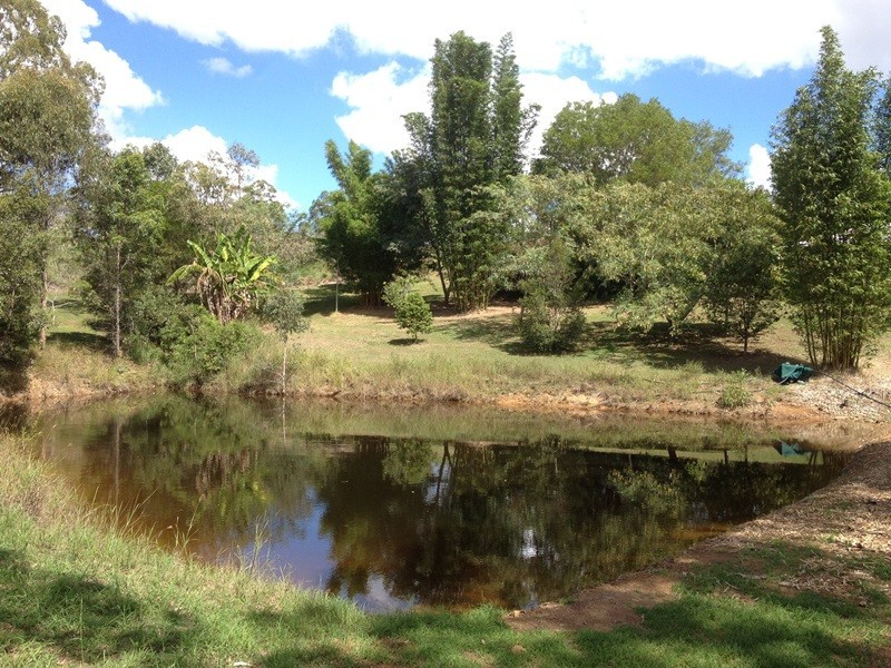 77 Pine Valley Road, Pie Creek QLD 4570