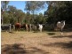 Imbil QLD 4570