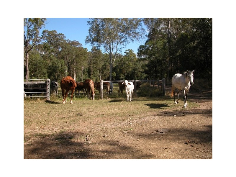 Imbil QLD 4570