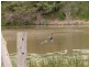 Imbil QLD 4570