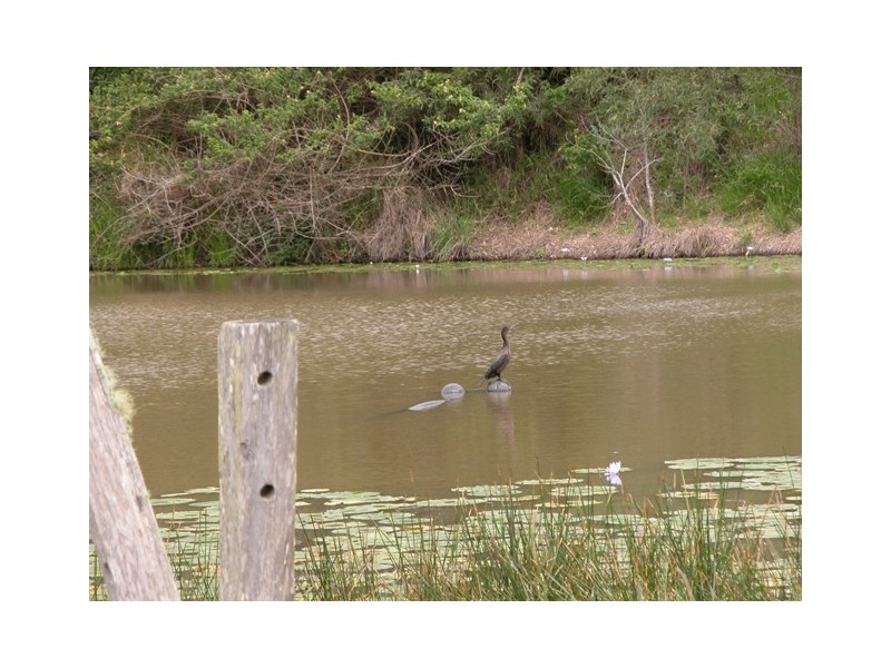 Imbil QLD 4570