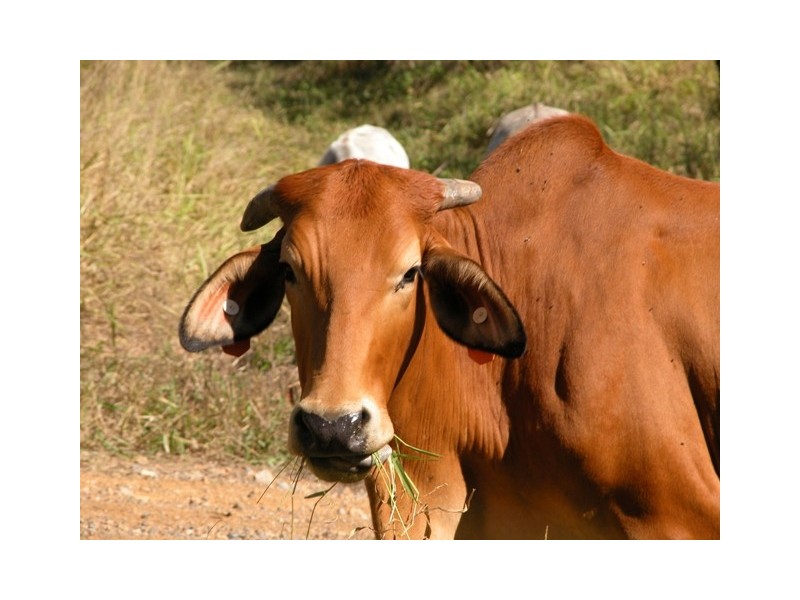 Imbil QLD 4570