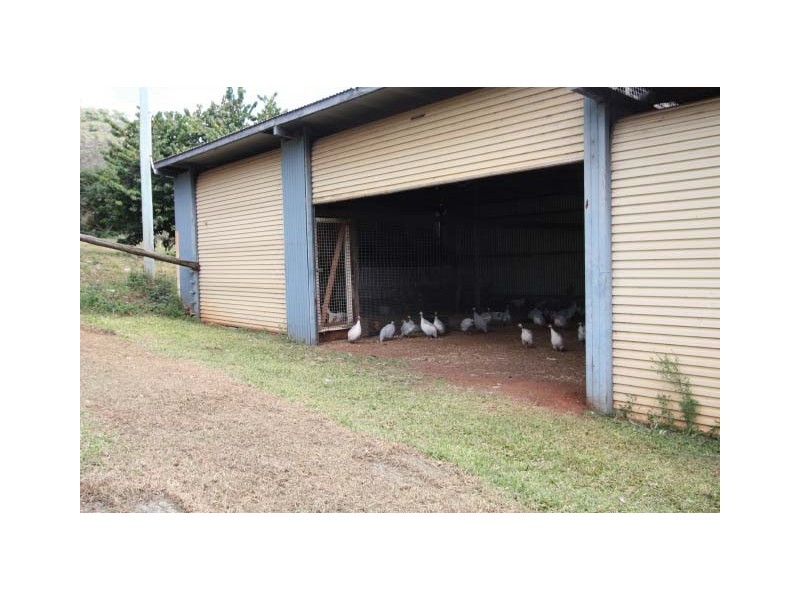 184 Robinson Road, Calico Creek QLD 4570