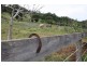 184 Robinson Road, Calico Creek QLD 4570