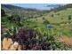 Chatsworth QLD 4570