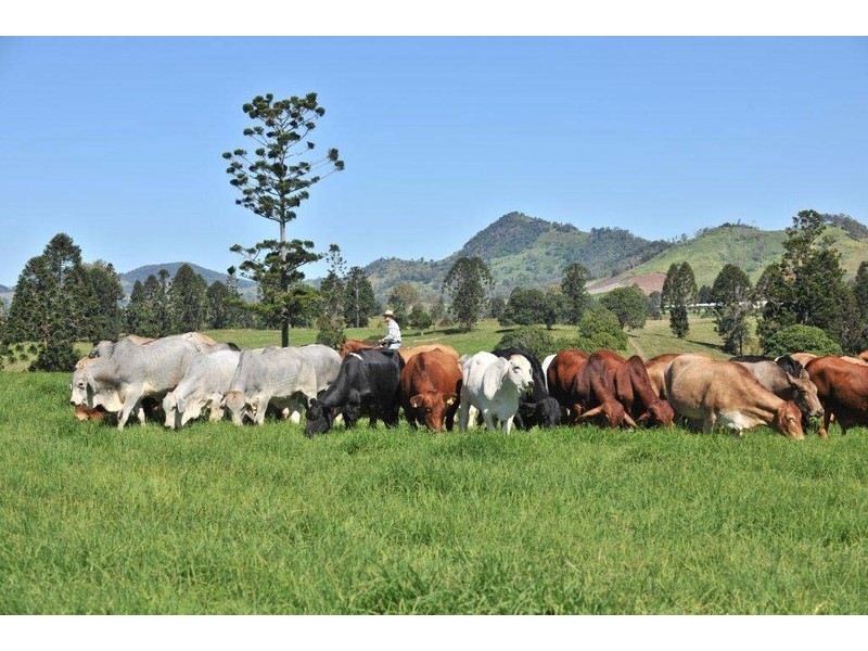 Mooloo QLD 4570