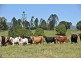 Mooloo QLD 4570