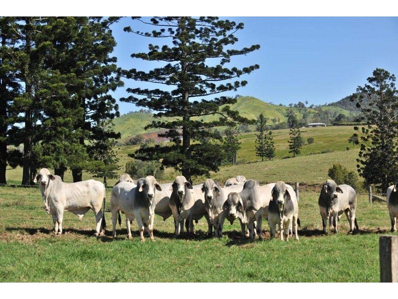 Mooloo QLD 4570
