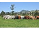 Mooloo QLD 4570
