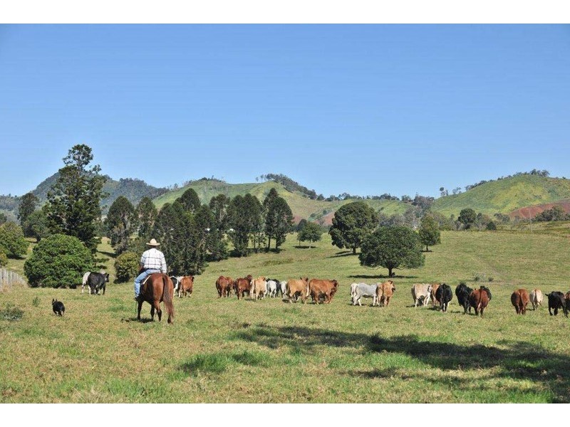 Mooloo QLD 4570