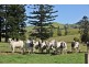 Mooloo QLD 4570
