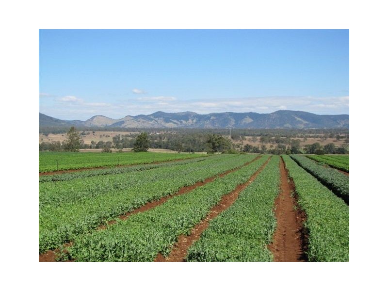 Lower Wonga QLD 4570