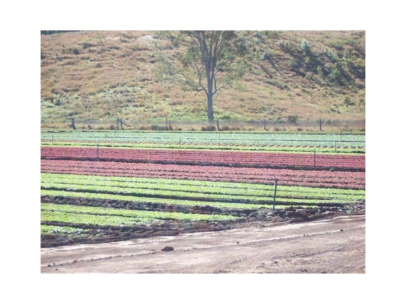 Lower Wonga QLD 4570