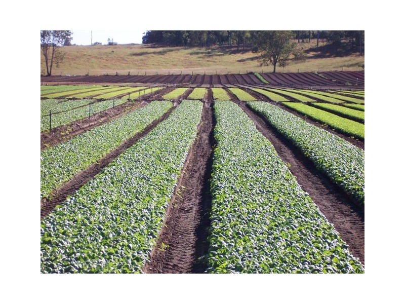 Lower Wonga QLD 4570