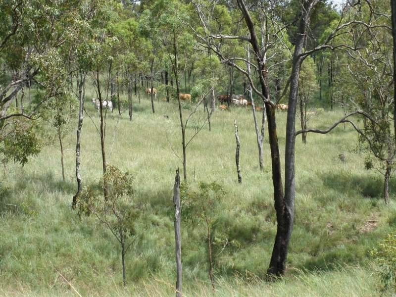 Barambah QLD 4601