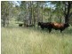 Barambah QLD 4601