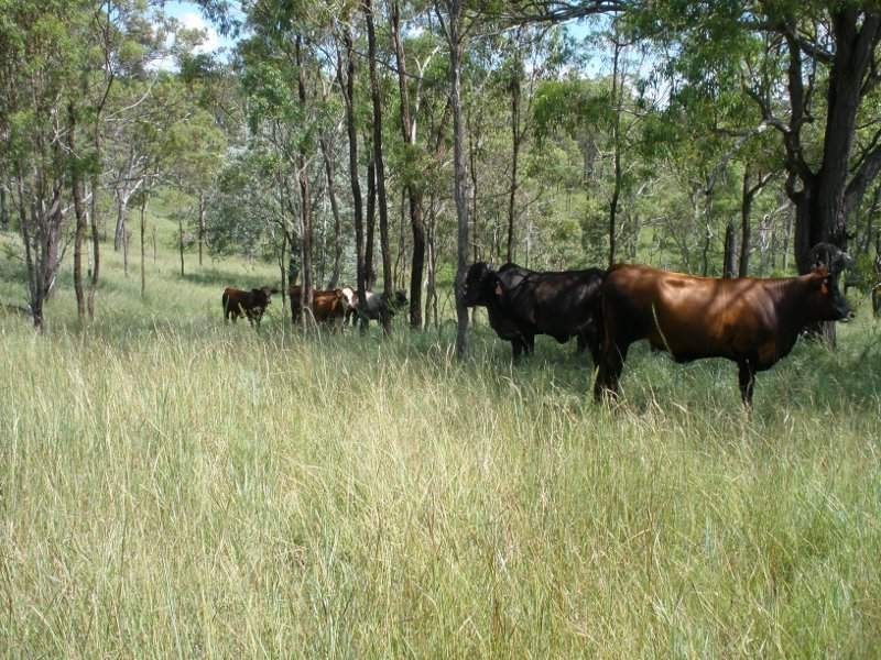 Barambah QLD 4601