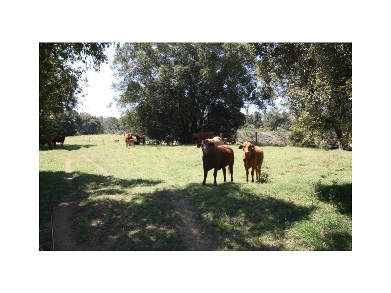 Kenilworth QLD 4574