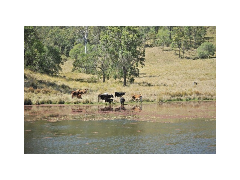 2045  Amamoor Creek Road, Amamoor Creek QLD 4570