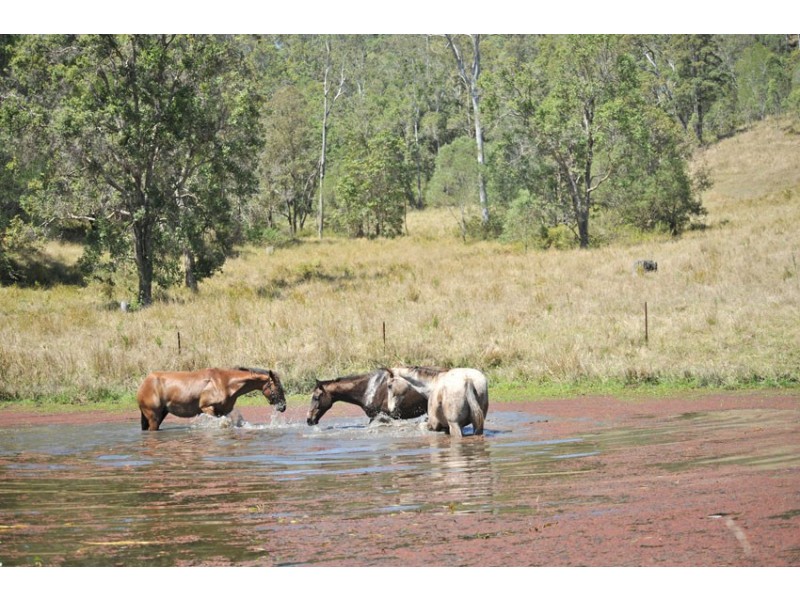 2045  Amamoor Creek Road, Amamoor Creek QLD 4570