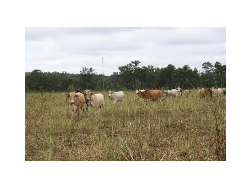 Monogorilby QLD 4626