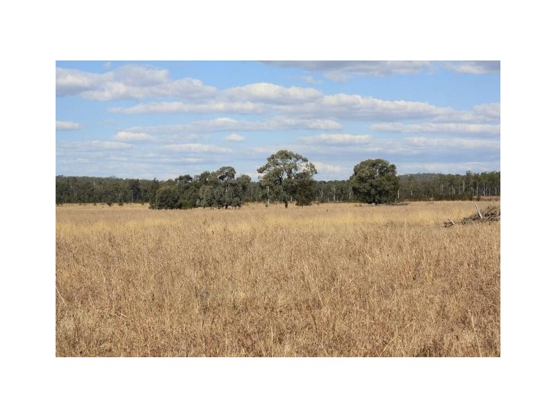 Monogorilby QLD 4626