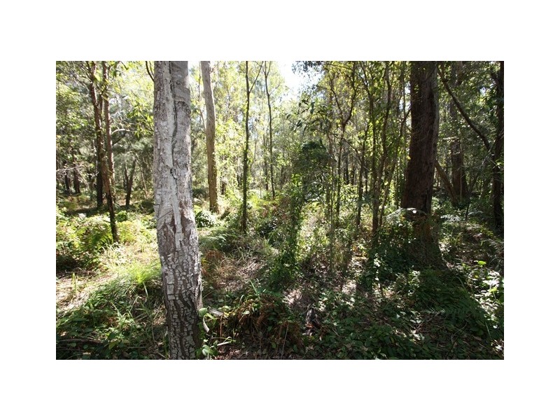Talegalla Weir QLD 4650