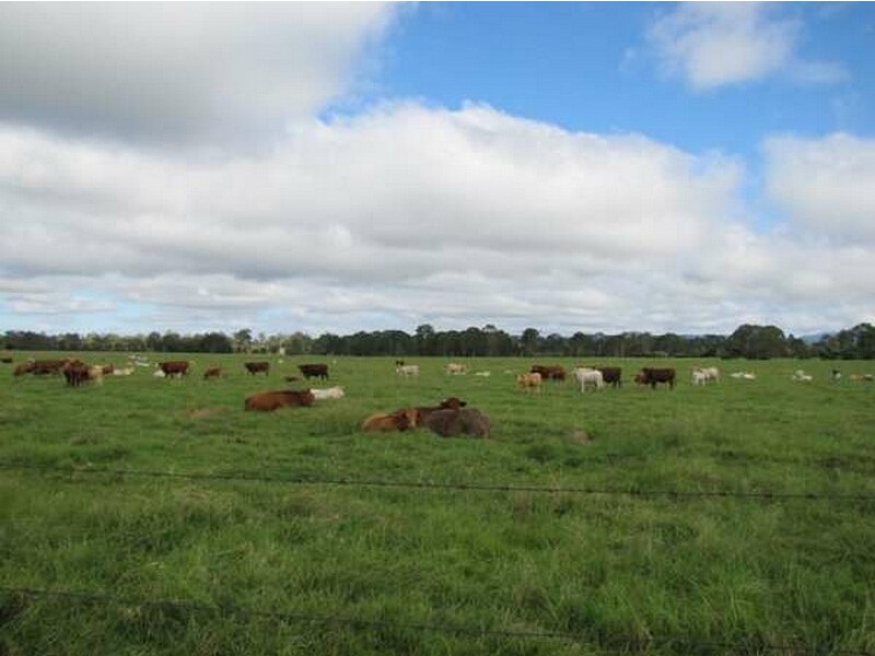 Theebine QLD 4570