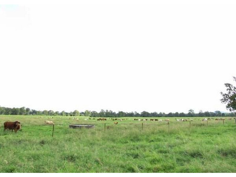 Theebine QLD 4570