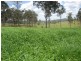 Gundiah QLD 4650