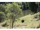 Gundiah QLD 4650