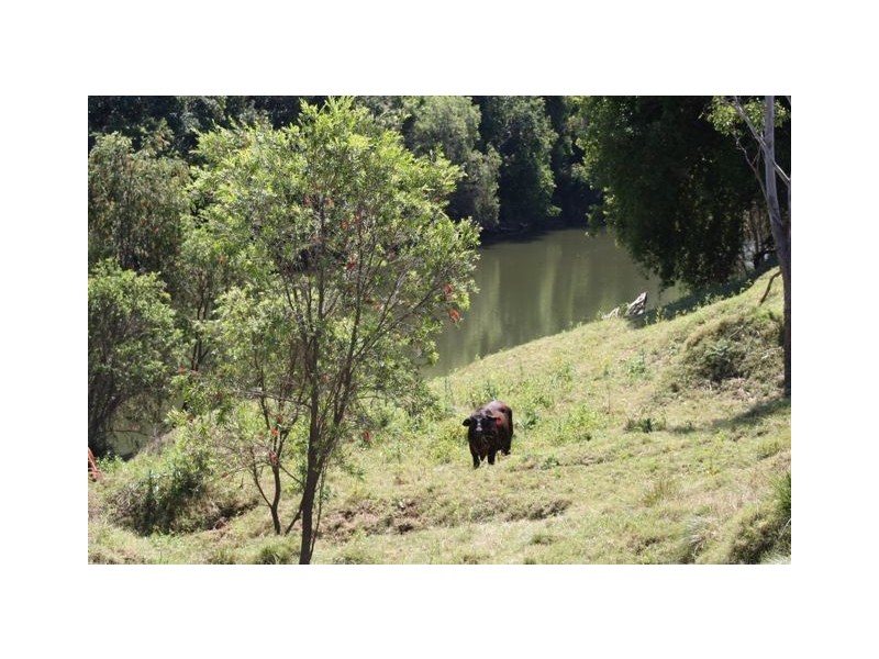 Gundiah QLD 4650