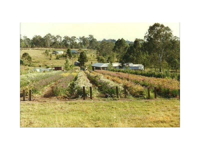 128 Witham Road, The Dawn QLD 4570