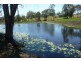 128 Witham Road, The Dawn QLD 4570