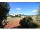 4 Tea Tree Court, The Palms QLD 4570